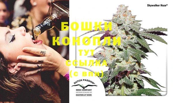 круглые Ельня