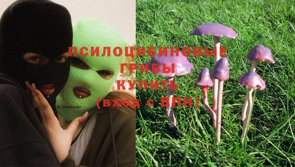 круглые Ельня
