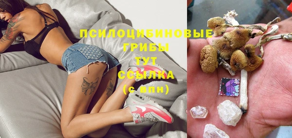 круглые Ельня