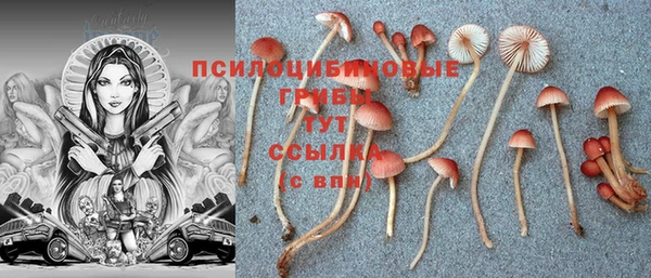 соль ск Елизово